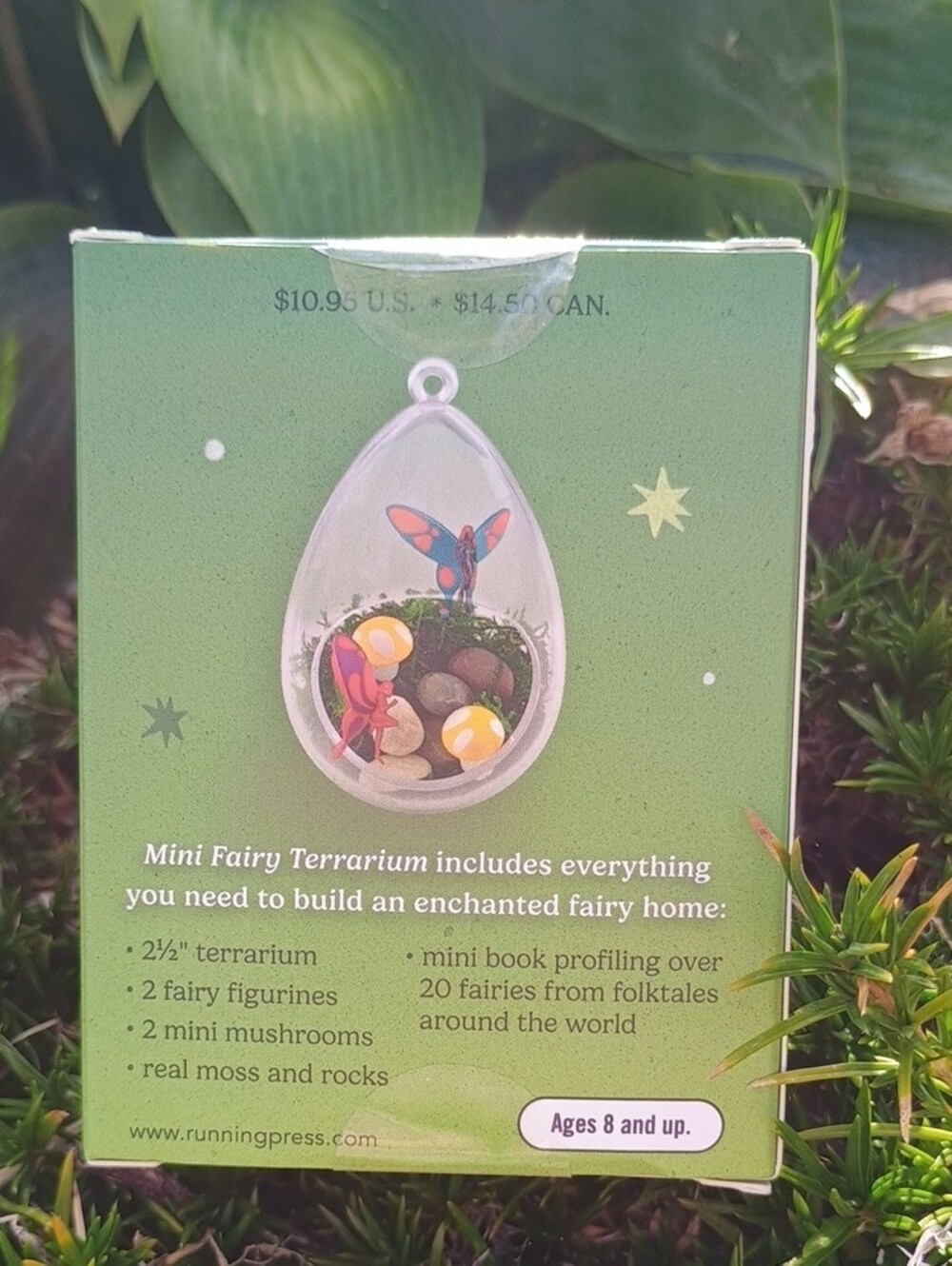 Mini Fairy Terrarium Box - Build Your Own Fairy Terrarium NIB - Picture 2 of 2